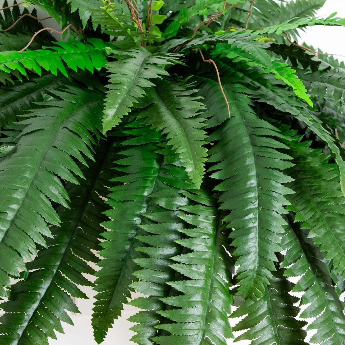 Artificial Boston Fern