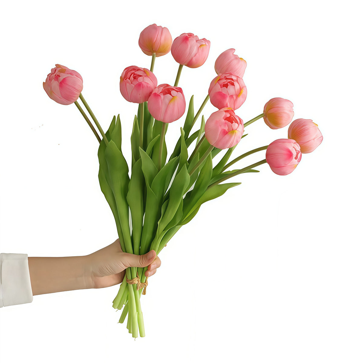 Double Tulip Stem